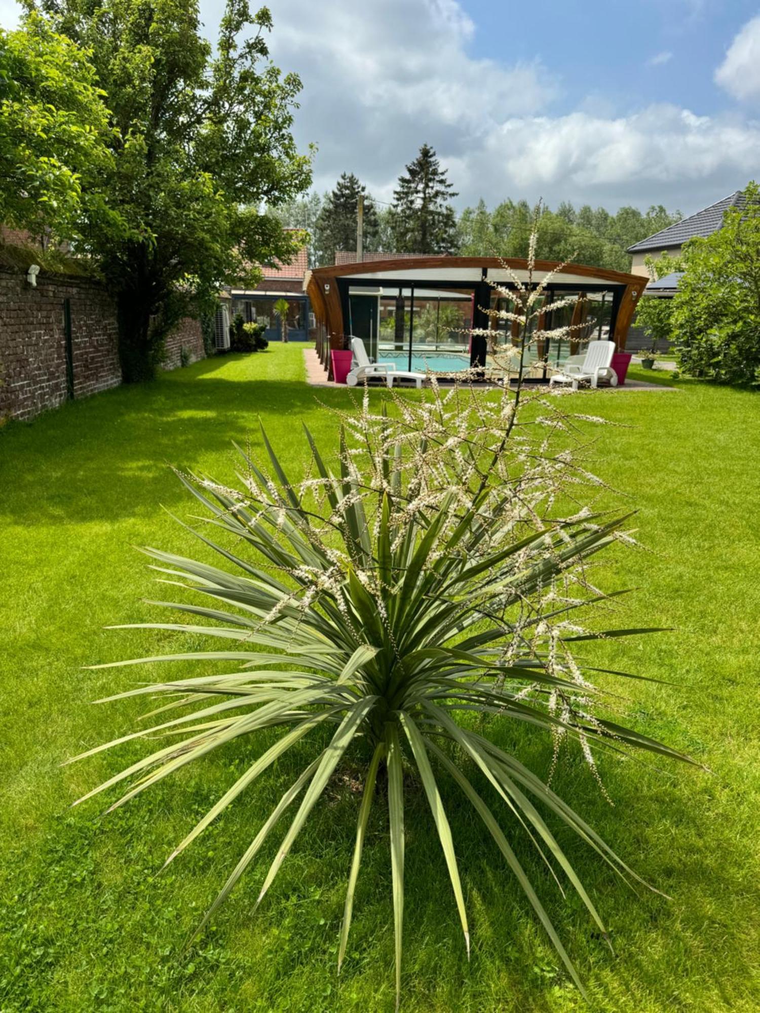 Gite Avec Piscine Lestrem ภายนอก รูปภาพ
