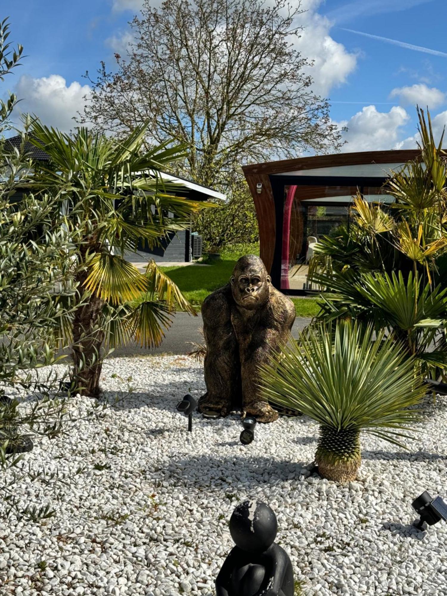 Gite Avec Piscine Lestrem ภายนอก รูปภาพ
